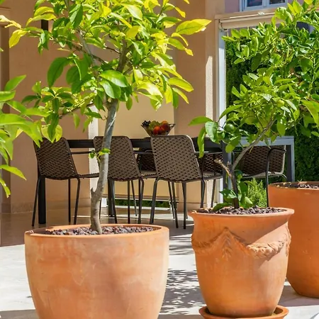 Casa Mateo 로비니